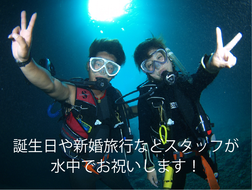 バブルボックスダイバーズ Bubble Box Divers